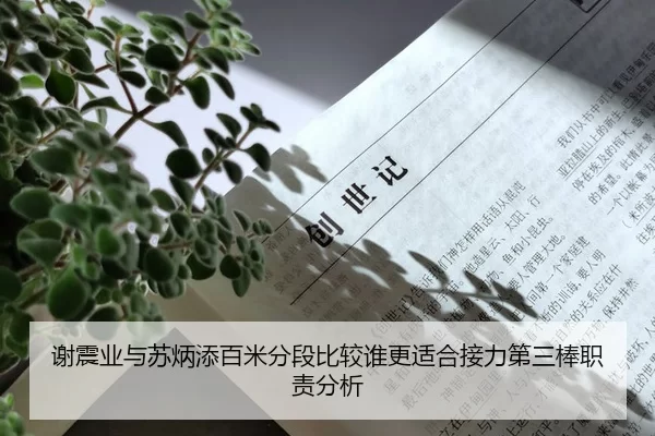 谢震业与苏炳添百米分段比较谁更适合接力第三棒职责分析