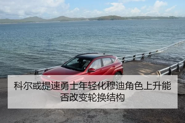 ke-er-huo-ti-su-yong-shi-nian-qing-hua-mu-di-jue-se-shang-sheng-neng-fou-gai-bian-lun-huan-jie-gou-2-158.jpg